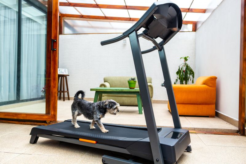 Treadmill Installation